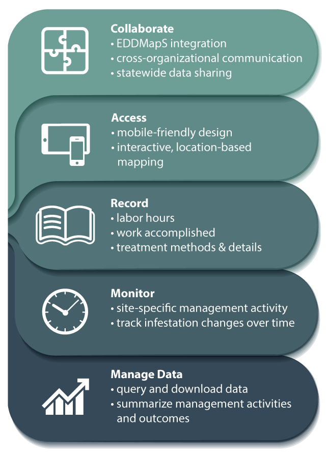 About ISMTrack